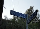 Earl Street (2288)