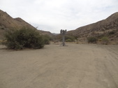 Enlarge photo 20