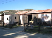 Enlarge photo 20