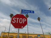 1300 block of Avalon Blvd.