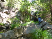 Enlarge photo 15