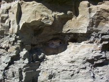 Enlarge photo 25