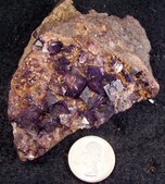 Enlarge photo 42