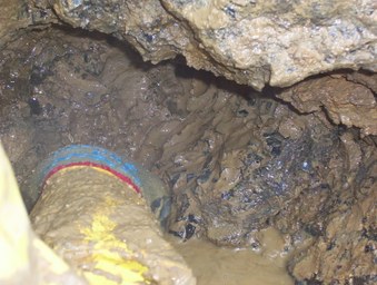 Enlarge photo 34