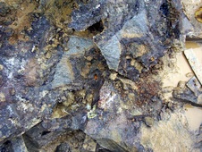 Enlarge photo 32