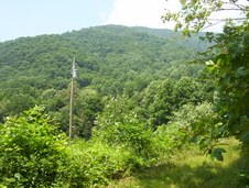 Enlarge photo 2