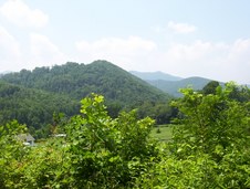 Enlarge photo 4