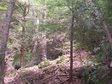 Enlarge photo 14