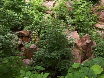 Enlarge photo 6