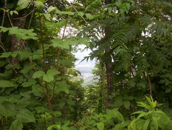 Enlarge photo 9