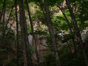 Enlarge photo 20
