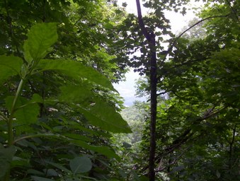 Enlarge photo 21