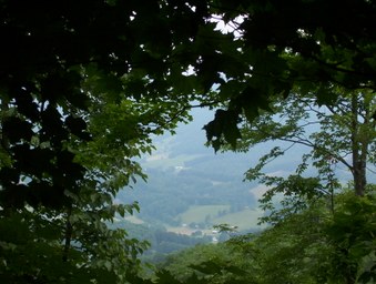 Enlarge photo 22
