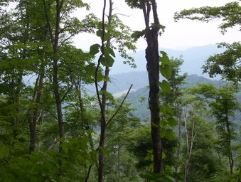 Enlarge photo 27
