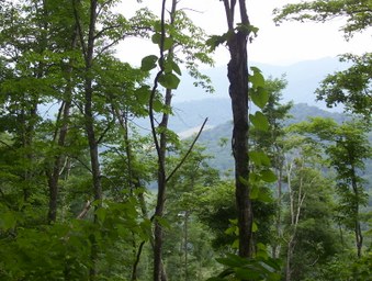 Enlarge photo 28
