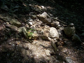 Enlarge photo 30