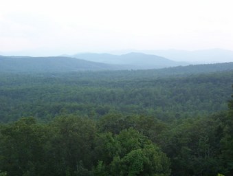 Enlarge photo 36