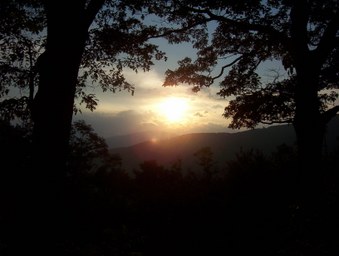 Enlarge photo 40
