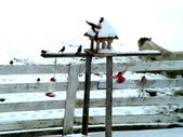Enlarge photo 26
