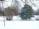 Enlarge photo 30
