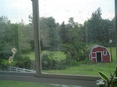 Wind Storm