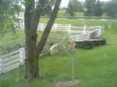 Enlarge photo 17