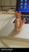 Enlarge photo 2