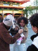 Enlarge photo 13