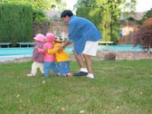 Enlarge photo 14