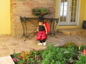 Enlarge photo 10