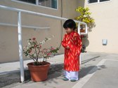 Enlarge photo 8
