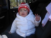 Enlarge photo 24