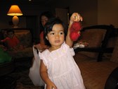 Enlarge photo 15