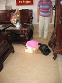 Enlarge photo 12