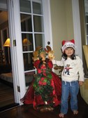 Enlarge photo 16