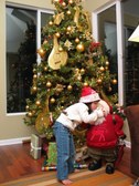 Enlarge photo 22