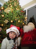 Enlarge photo 24