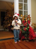 Enlarge photo 25