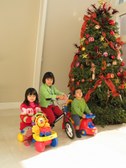 Enlarge photo 6