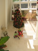 Enlarge photo 11