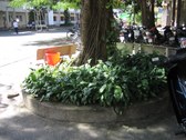 Enlarge photo 12
