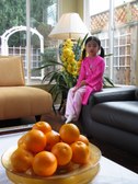 Enlarge photo 30