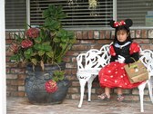 Enlarge photo 2
