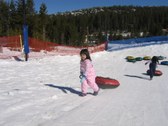 Enlarge photo 17