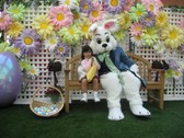 Enlarge photo 8