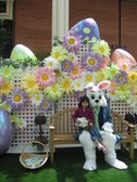Enlarge photo 14