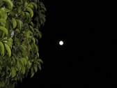 2007-09-25 Trung Thu