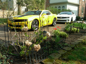 Enlarge photo 6