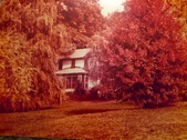 Enlarge photo 11