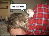 Enlarge photo 11